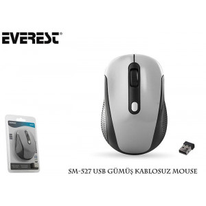 EVEREST SM-527 USB GUMUS KABLOSUZ MOUSE