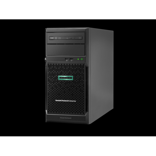 HPE P06781-425 ML30 GEN10 E-2124 1x8GB NOHDD NHP 350W (1TB BUNDLE)