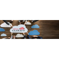 VEGA CLOUD 9
