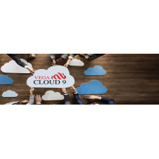 VEGA CLOUD 9