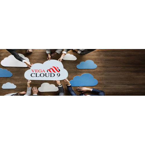 VEGA CLOUD 9